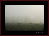 In the Charentonne river's valley