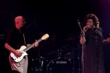 junior watson band 32.JPG
