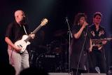 junior watson band 33.JPG