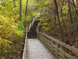 Going Up 03.jpg