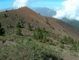 Parque Natural de Cumbre Vieja.