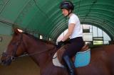 Rider Talking to Horse.jpg