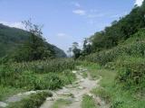 Ghorapani ( Poon Hill ) To Ghandruk - Annapurna N.P.