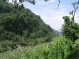 Ghorapani ( Poon Hill ) To Ghandruk - Annapurna N.P.