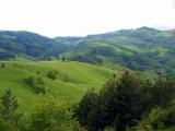 Zlatibor