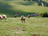 Zlatibor