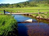 Crni Rzav, Zlatibor