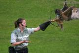June 20: Feeding the owl
