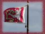 Flag of original 13 colonies another.jpg(178)