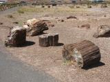 030819-23-Petrified Forest, AZ.JPG