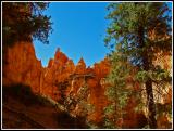 Bryce Canyon