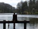 Limousin's pond