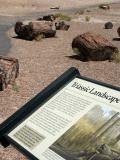 030819-21-Petrified Forest, AZ.JPG