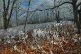 11/13/04 - A Preview of Winter