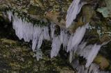 11/13/04 - A Preview of Winter