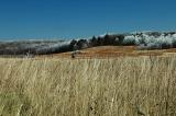 11/13/04 - A Preview of Winter