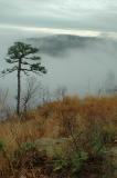 11/20/04 - Mist & Clouds