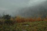 11/20/04 - Mist & Clouds
