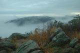 11/20/04 - Mist & Clouds