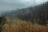 11/20/04 - Mist & Clouds