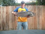 24lbs 37'' Chinook Salmon
American River