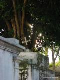 cemetery, antigua, guatemala
