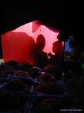 shadows on red, san lucas toliman, guatemala