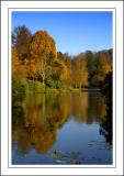 Stourhead ~ the creek