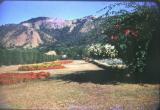 Jamaica Hope garden