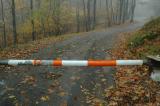 10/20/04 - Misty/Rainy Fall Colors