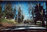West Virginia Backroad