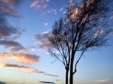 Azure Sky