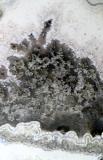 Snowflake Obsidian