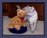 Just a bit of Eau de Catnip!