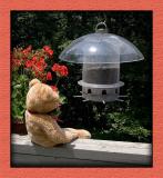 Birdwatching apprentice...