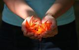 Mauritius - Offering