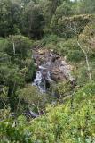 Mauritius - Alexandra River (Riviere Noire National Park)