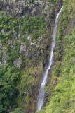 Mauritius - Waterfall (Riviere Noire National Park)