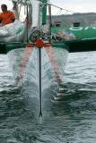 Grand prix de Fécamp 2005 des trimarans ORMA