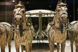 Jour 6 - L'armée enterrée près de Xi an, visite du musée
