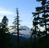Mt Rainier