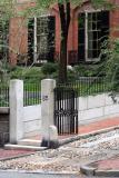 85 Mount Vernon Street