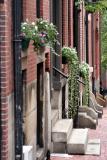 Windowboxes, Beacon Hill