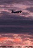 American Airlines A300-605R climbing out aviation airline sunset stock photo #1190_SS02