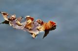 Floating