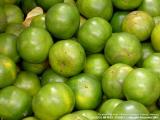 Tringkap Tangerines, Cameron Higlands, Pahang