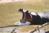 South Luangwa