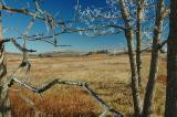 11/13/04 - A Preview of Winter