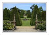 Topiary pyramids, Athelhampton House (3332)