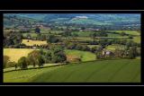 Between Mapperton and Melplash, Dorset